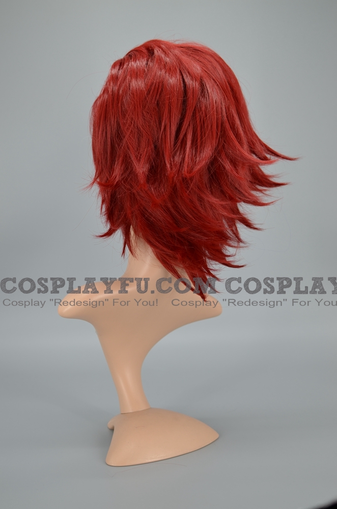 Axel Wig From Kingdom Hearts 9713